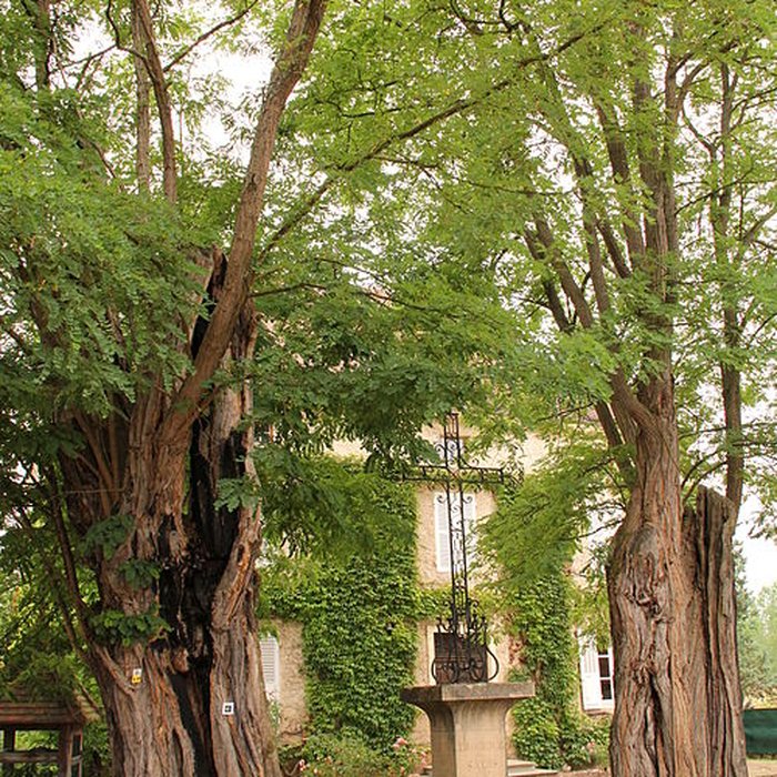 Photo de Abbaye de la Bénisson-Dieu