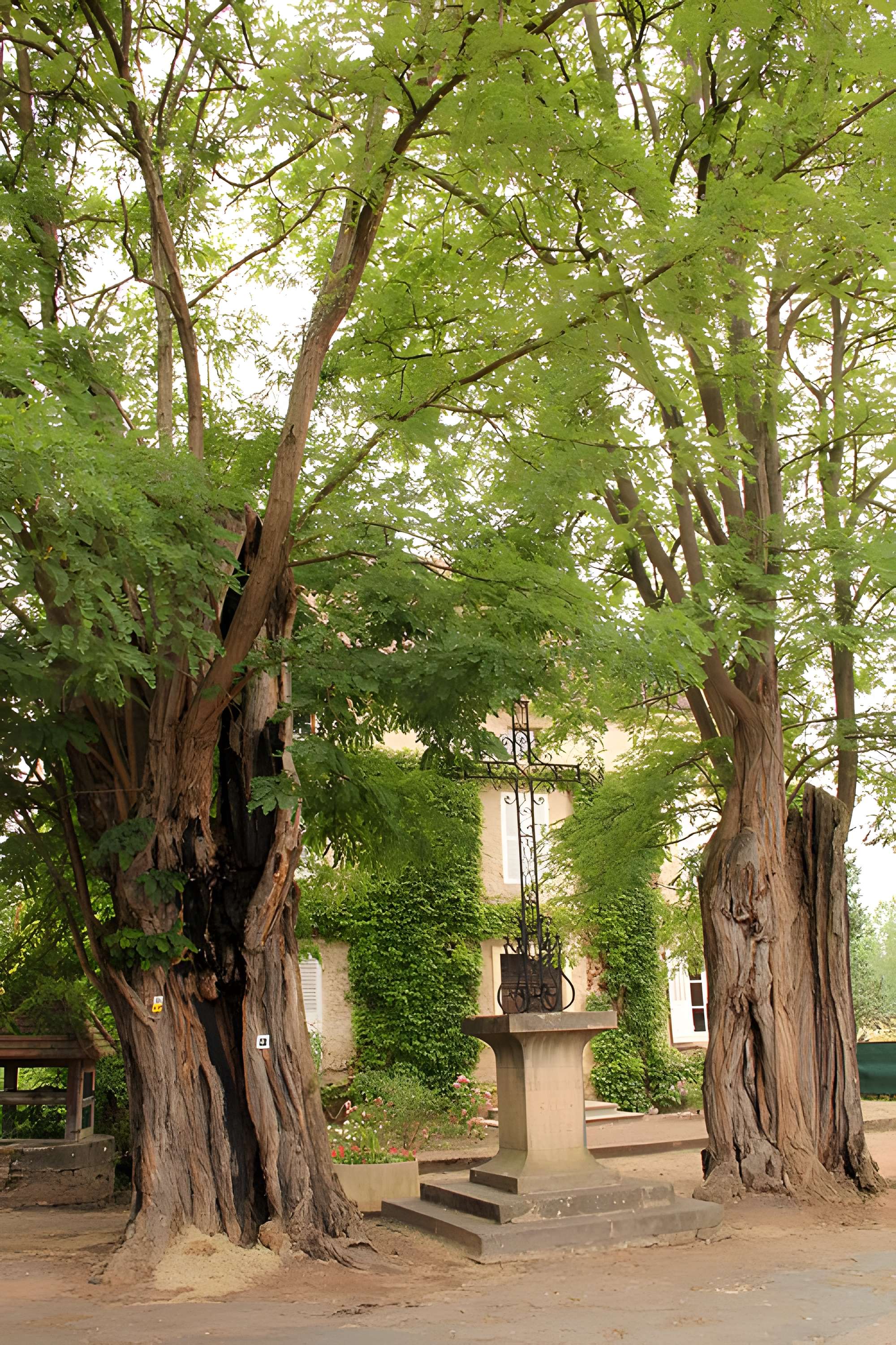 Abbaye de la Bénisson-Dieu