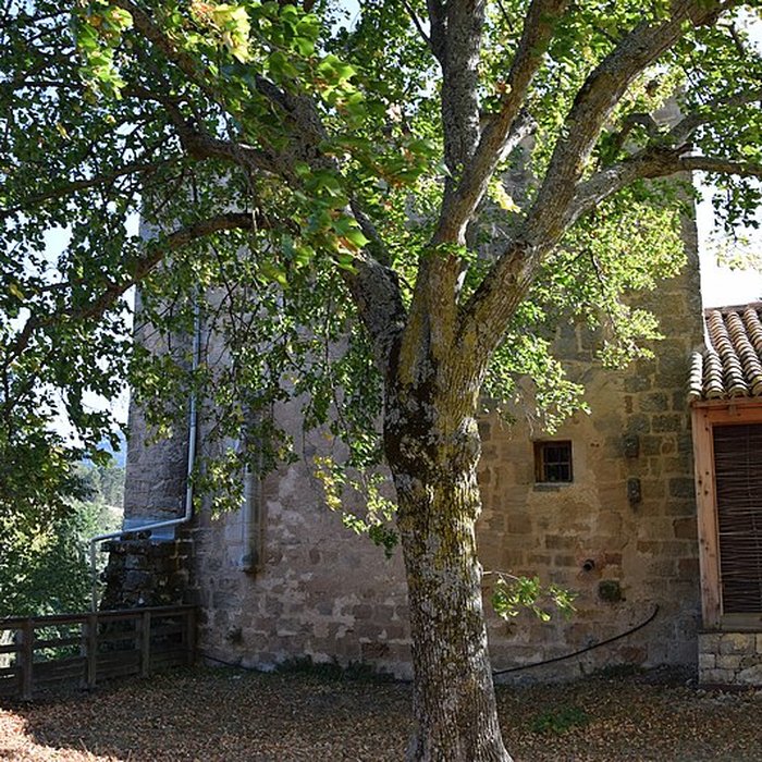 Photo de Château dArques