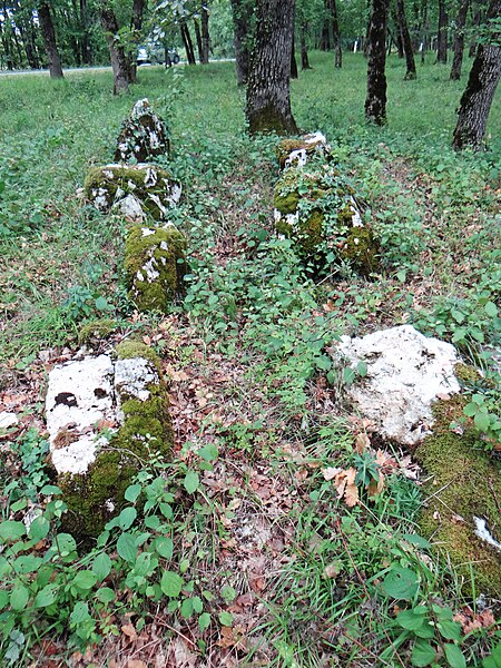 Photo de Trois alignements et deux tumuli