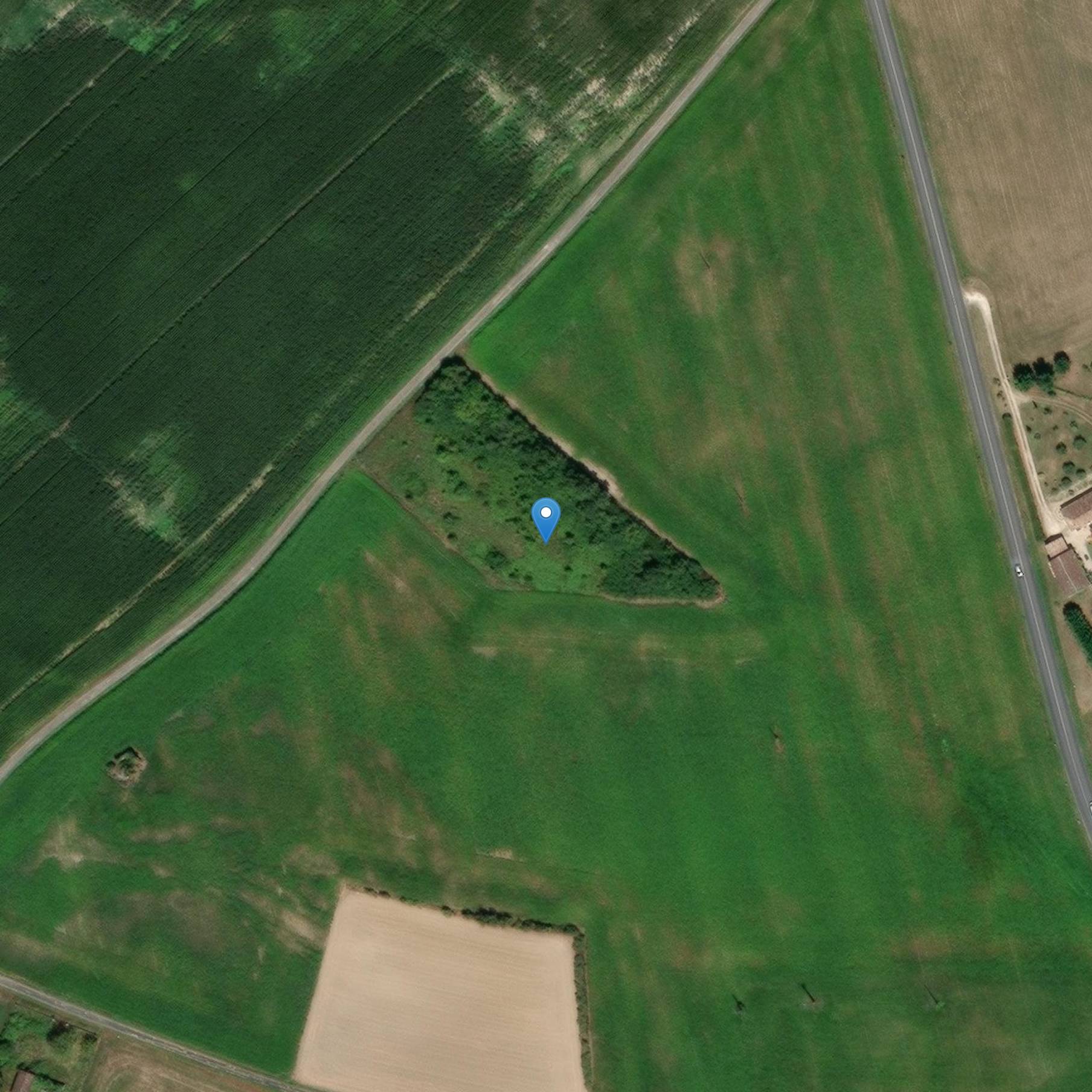 Photo de Roman ruins buried