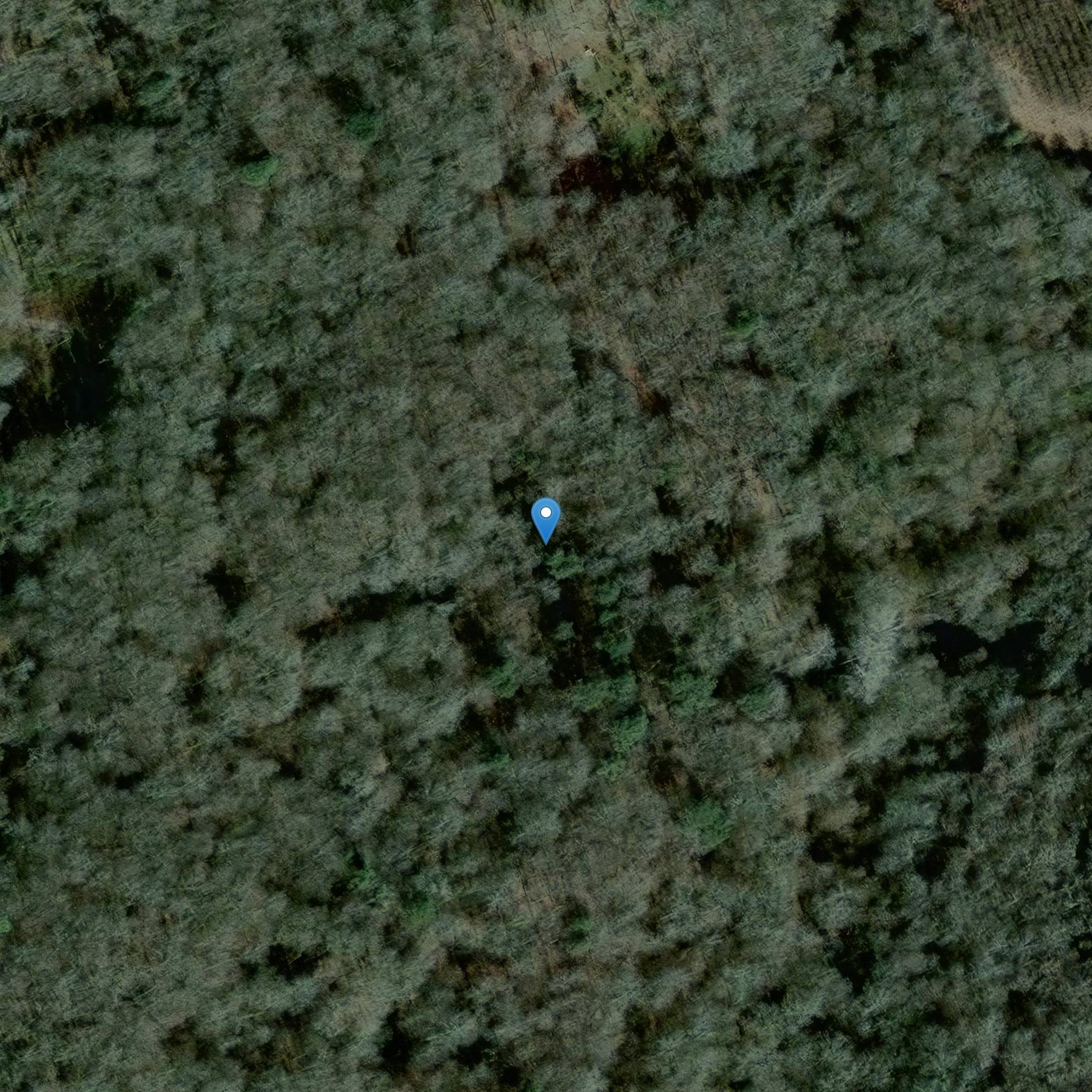 Photo de Allée couverte