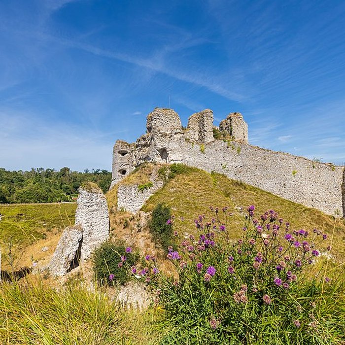 Photo de Château dArques-la-Bataille