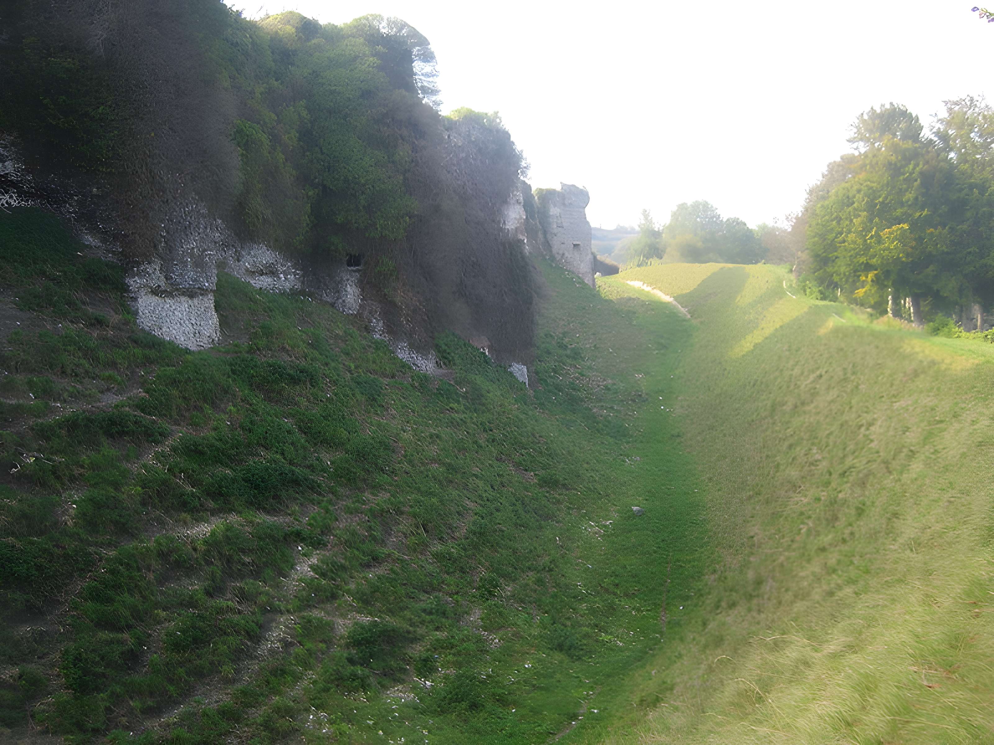 Château d'Arques-la-Bataille