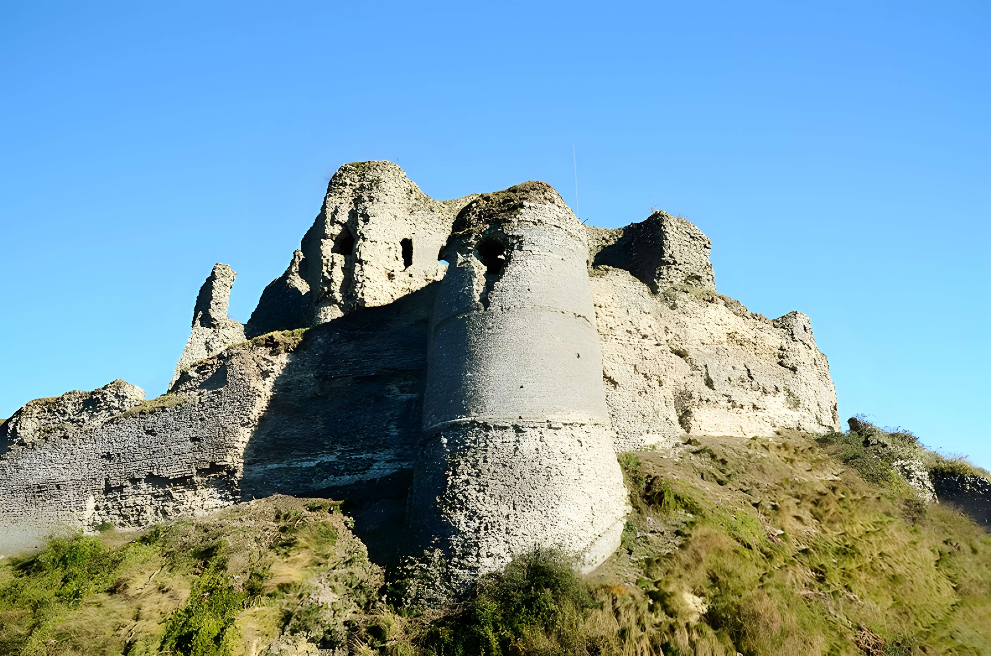 Château d'Arques-la-Bataille
