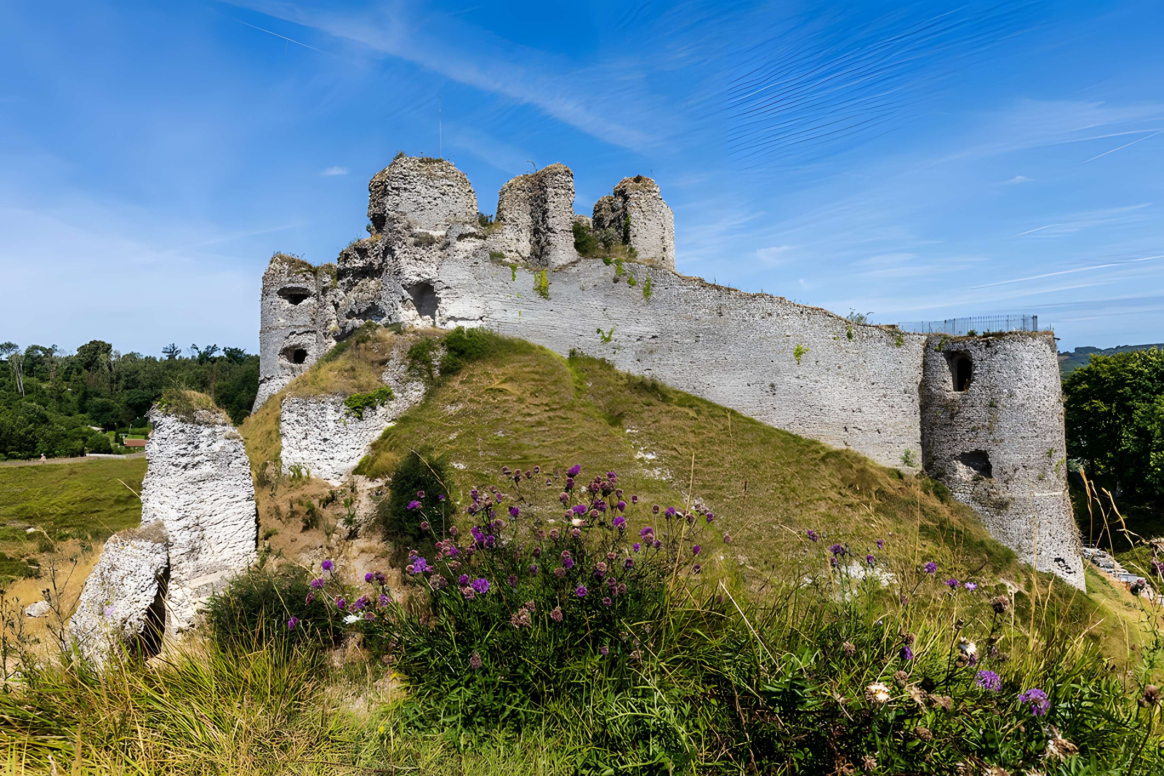 Château d'Arques-la-Bataille