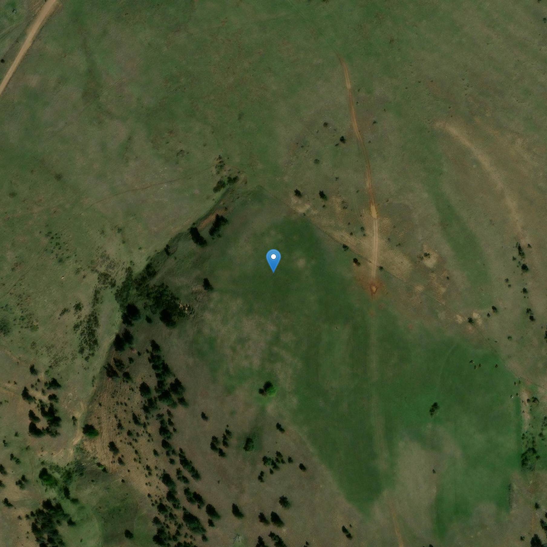 Photo de Tredici menhir del cosiddetto gruppo Maisonnette