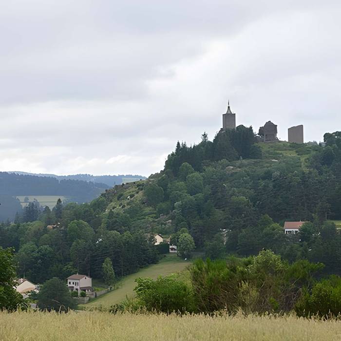 Photo de Ruines du château