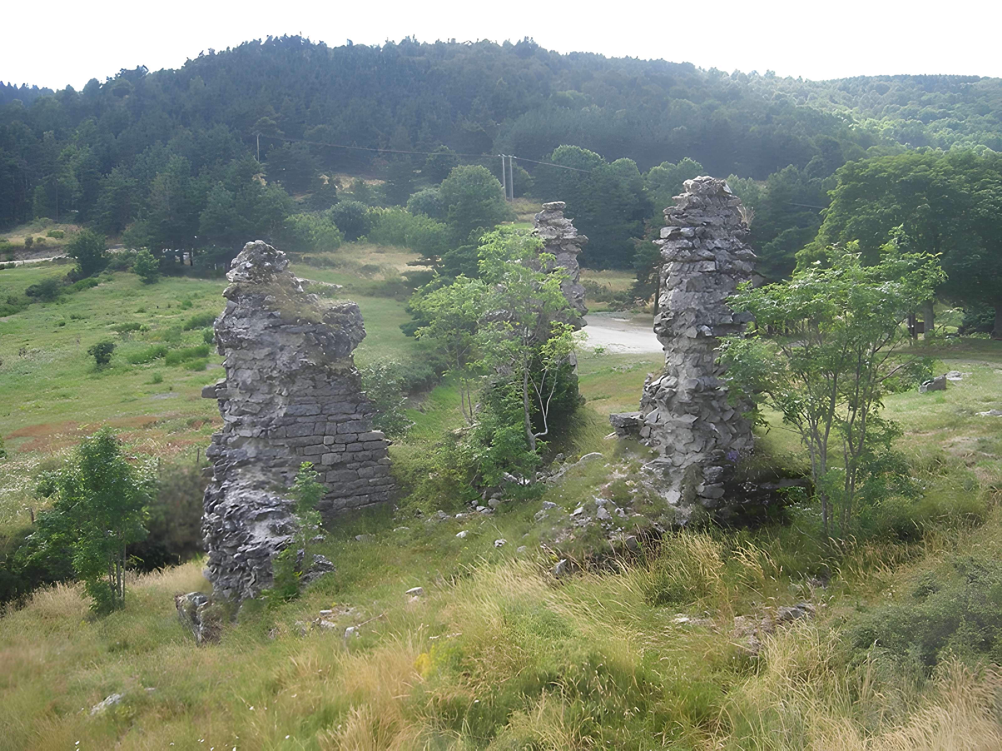 Ruines du château