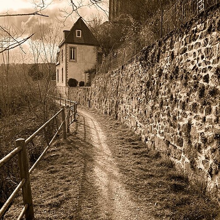 Photo de Vestiges du château