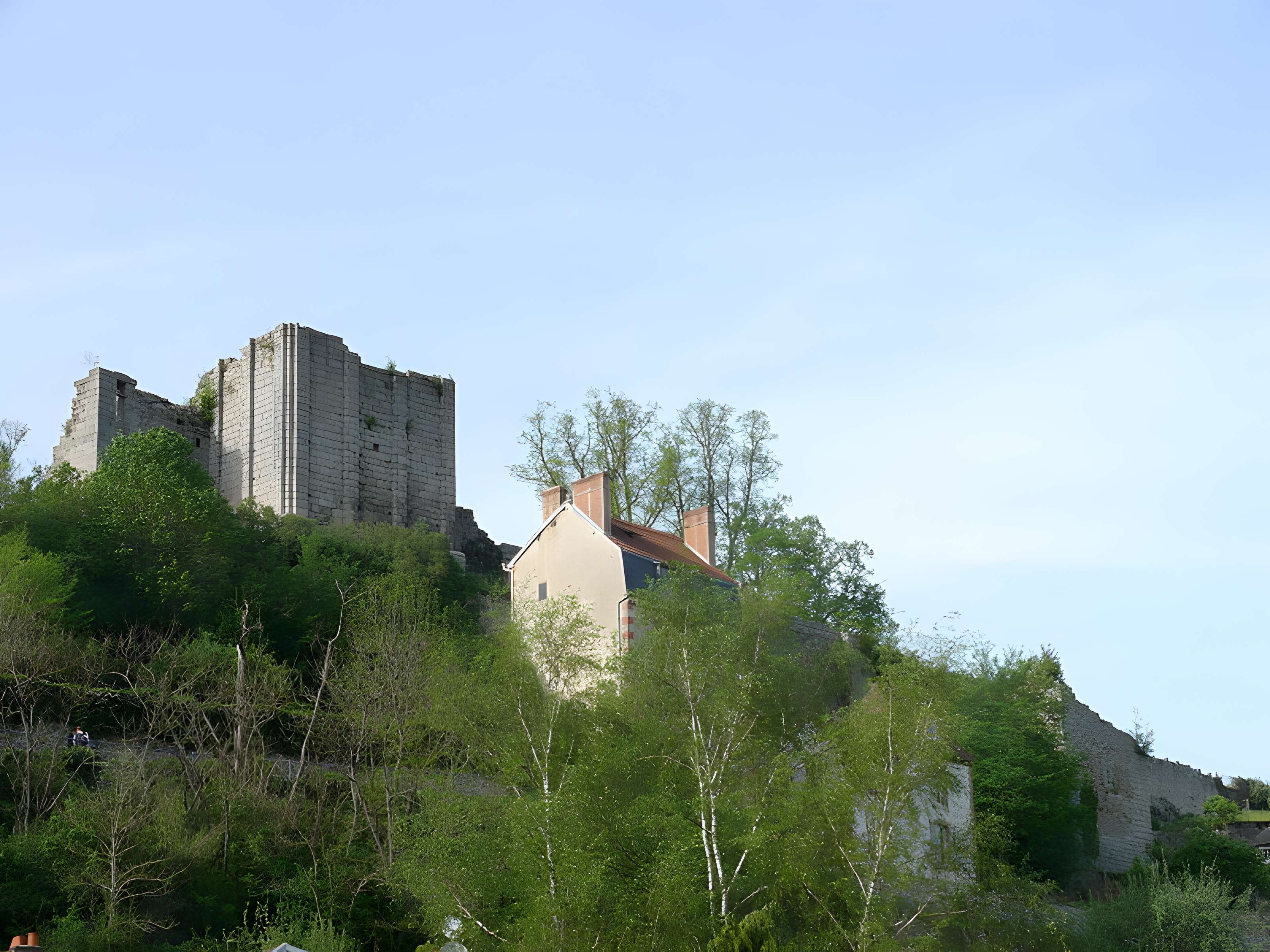 Vestiges du château