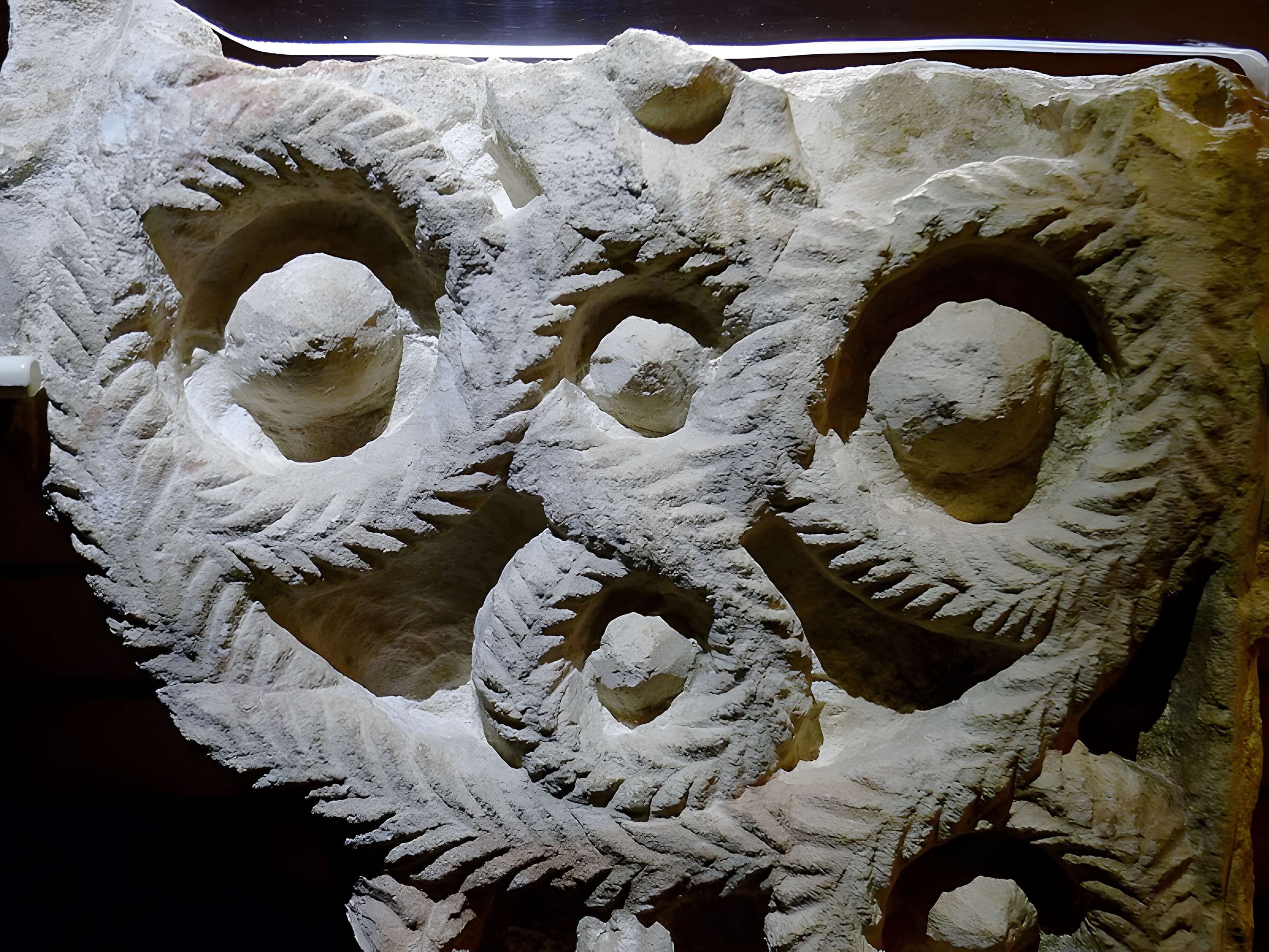 Collégiale Saint-Martin