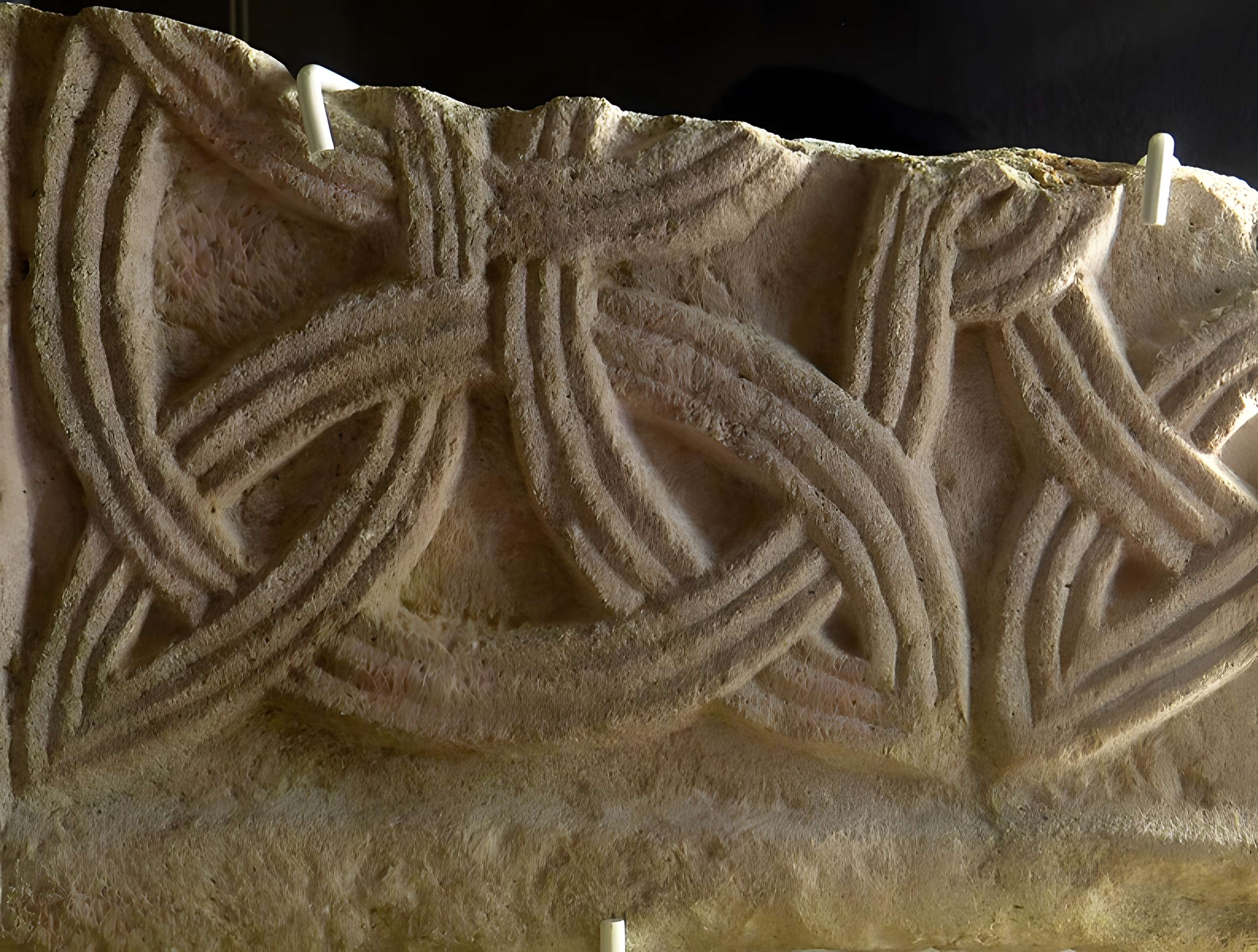 Collégiale Saint-Martin