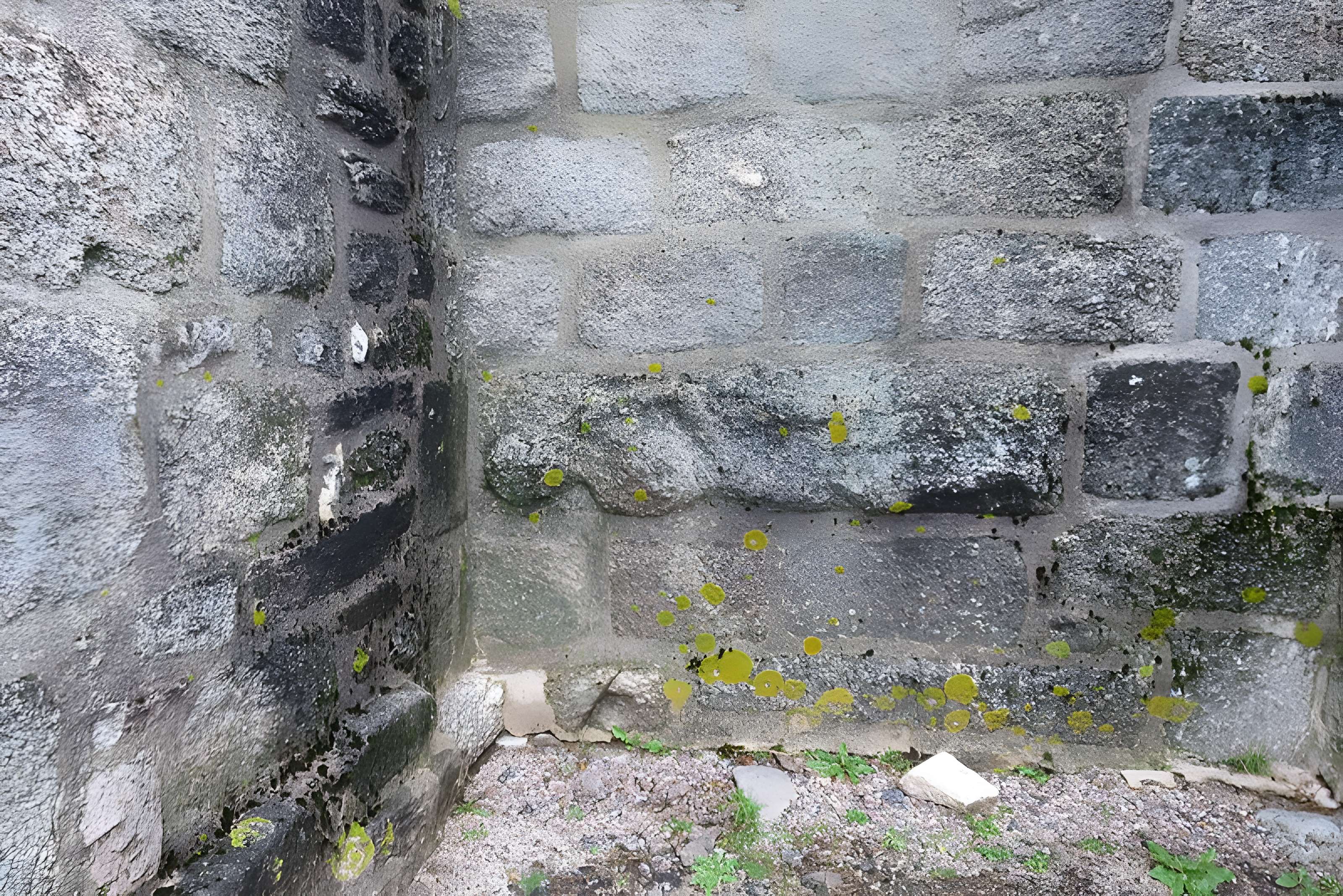 Église Saint-Martial de Toulx-Sainte-Croix