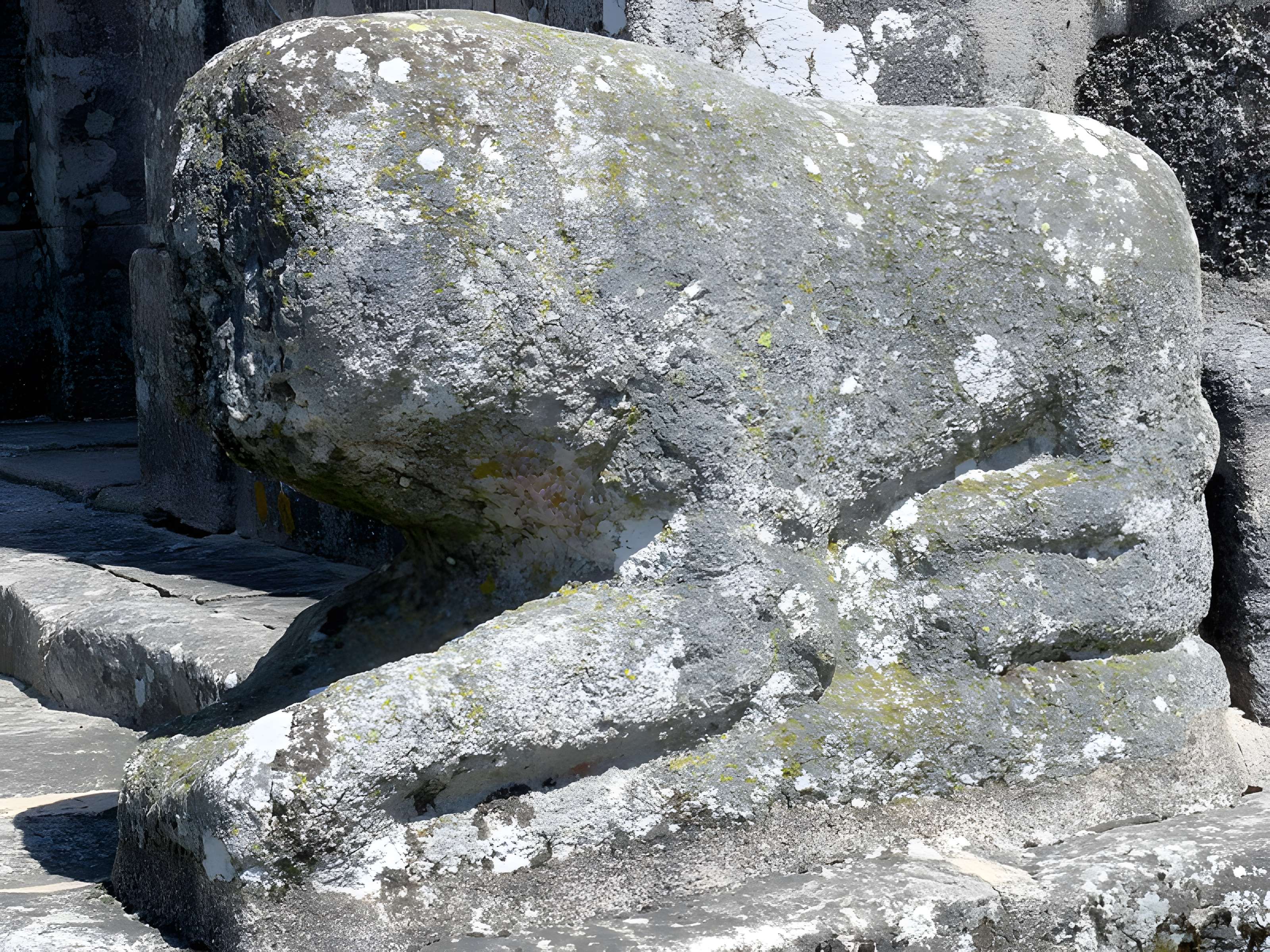 Église Saint-Martial de Toulx-Sainte-Croix