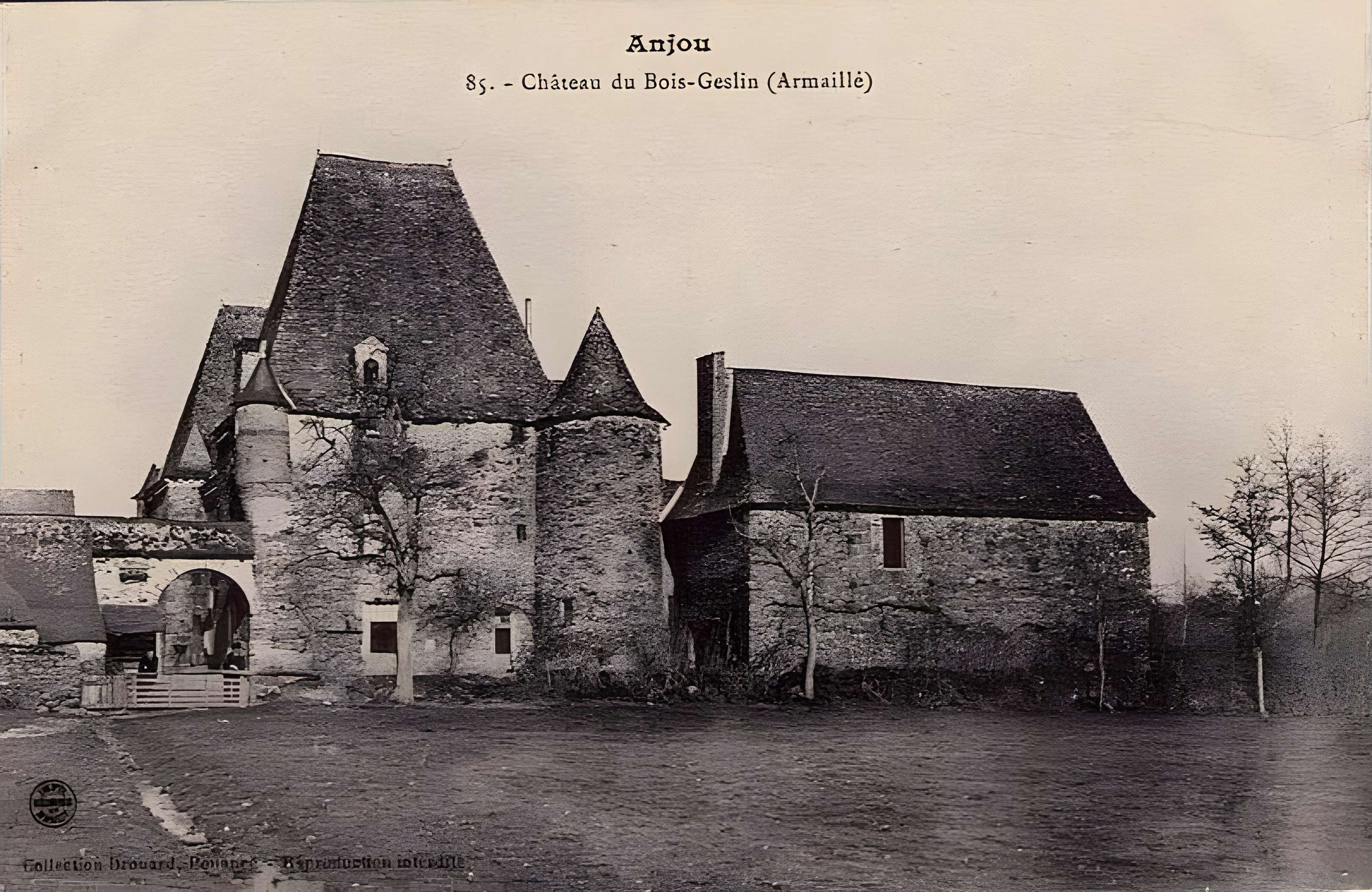 Château de Bois-Geslin