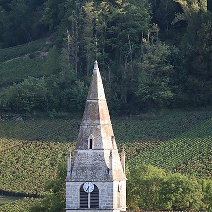 Photo de Église Saint-Martin dAuxey-Duresses