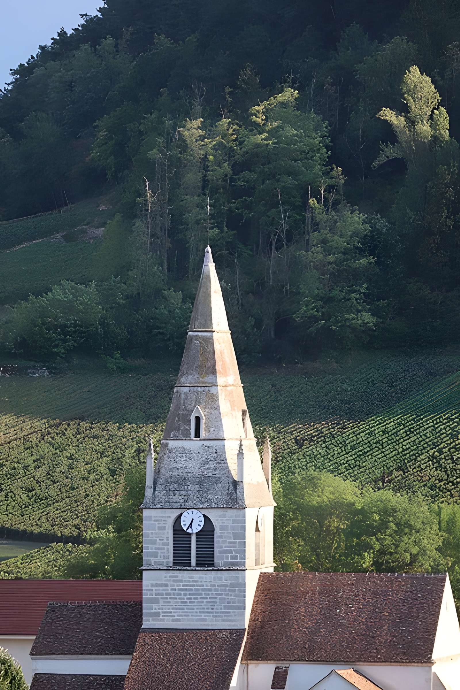 Église Saint-Martin d'Auxey-Duresses
