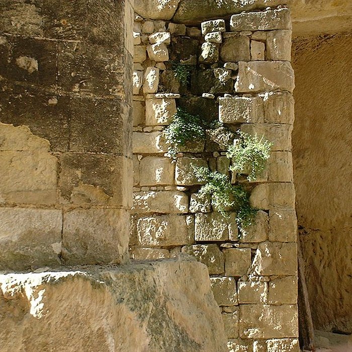 Photo de Château de Brezé