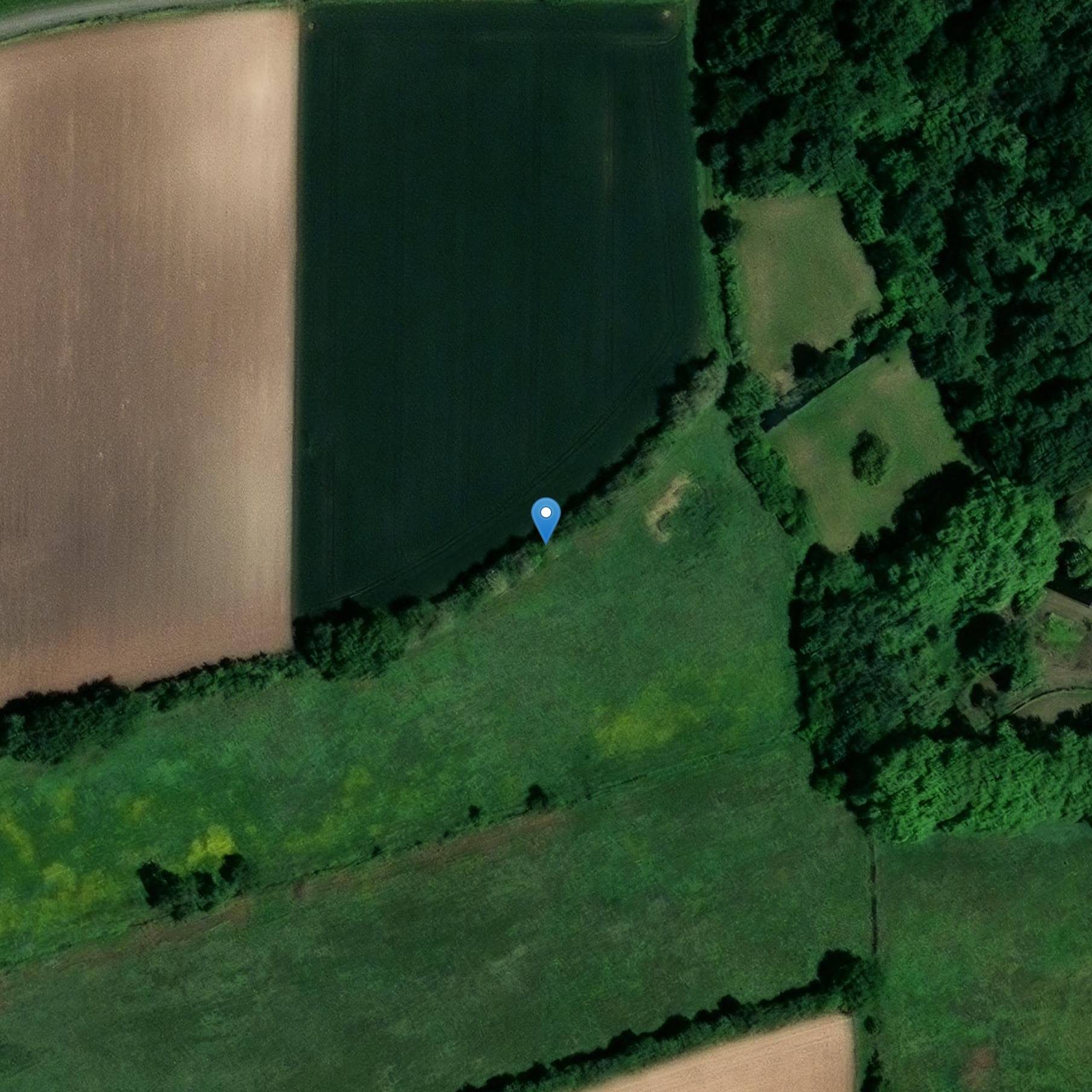 Photo de Domaine du château de Bussy-Fontaines