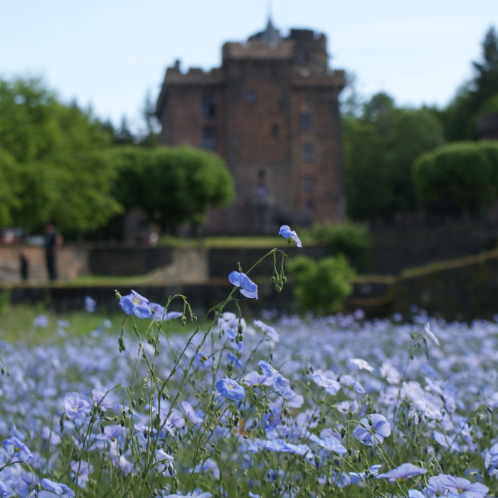 Photo de Château Dauphin