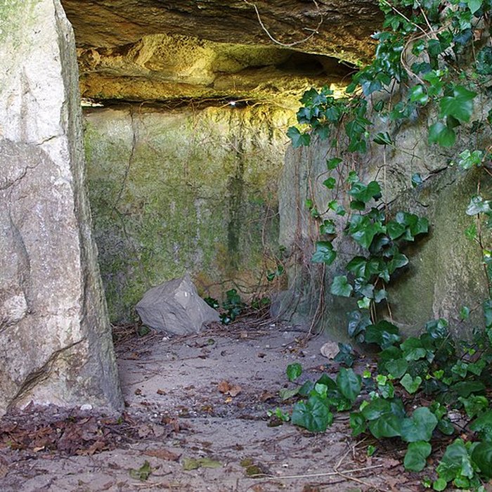 Photo de Dolmen dit Dolmen de la Forêt