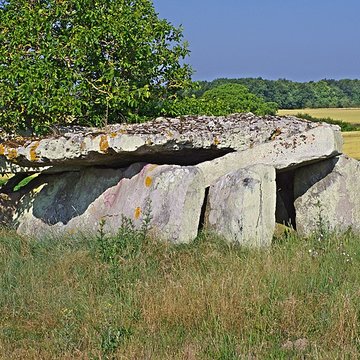 Dolmen dit Dolmen de la Forêt