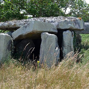 Dolmen dit Dolmen de la Forêt