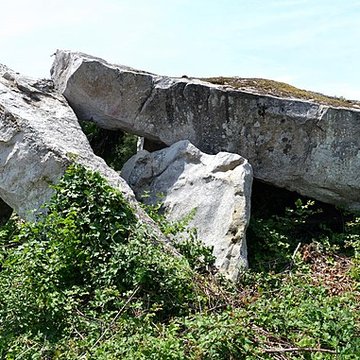 Dolmen dit Dolmen de la Forêt