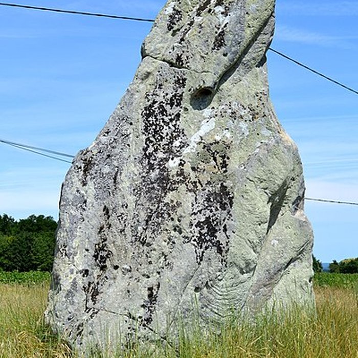 Photo de Menhir dénommé Pierre Longue