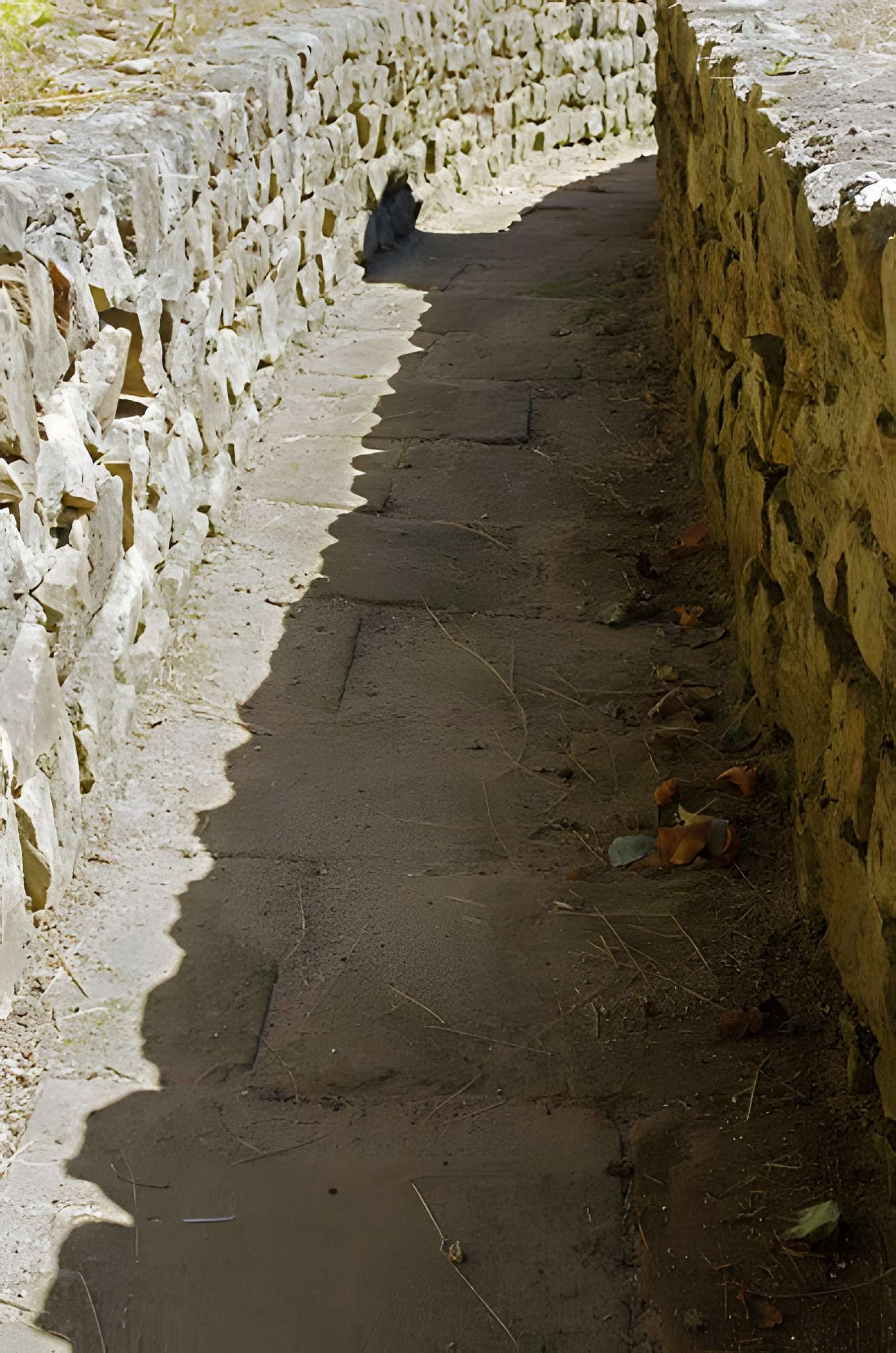 Nymphée gallo-romain (restes)