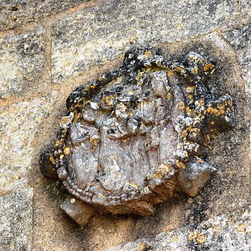 Église Saint-Martin de Haux