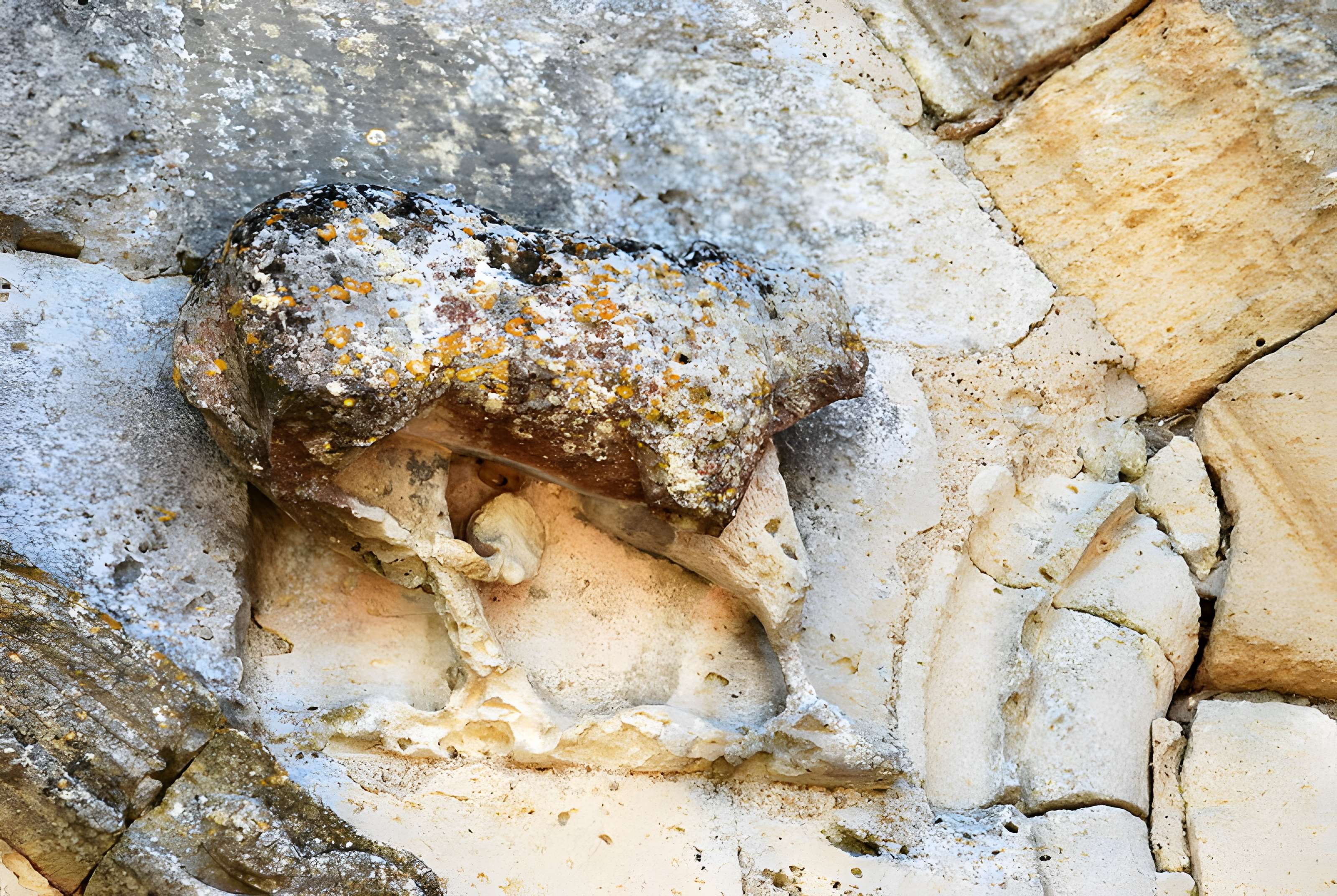 Église Saint-Martin de Haux