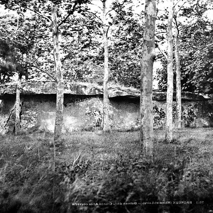 Photo de Allée couverte dite la Grande Pierre couverte