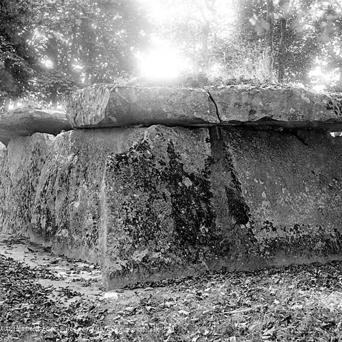 Photo de Allée couverte dite la Grande Pierre couverte