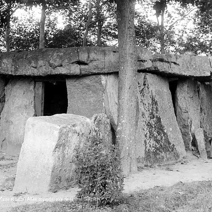 Photo de Allée couverte dite la Grande Pierre couverte