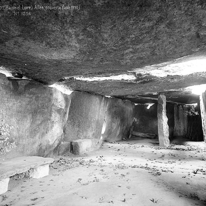 Photo de Allée couverte dite la Grande Pierre couverte