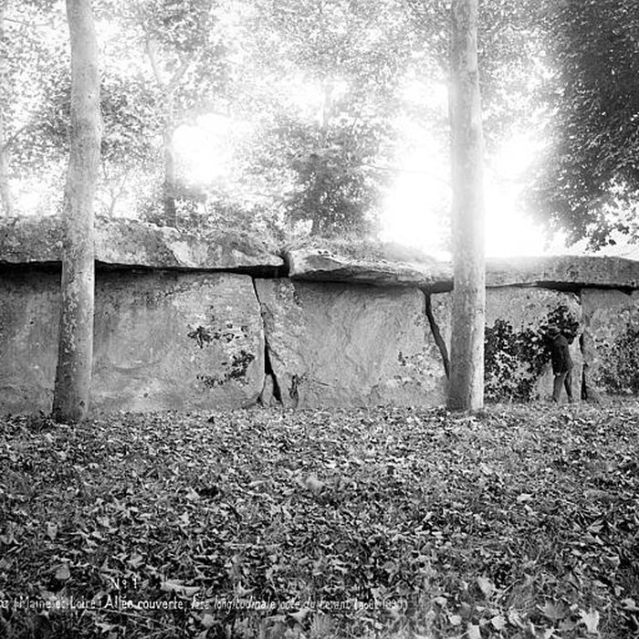 Photo de Allée couverte dite la Grande Pierre couverte