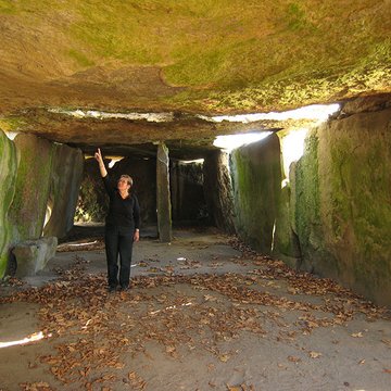 Allée couverte dite la Grande Pierre couverte