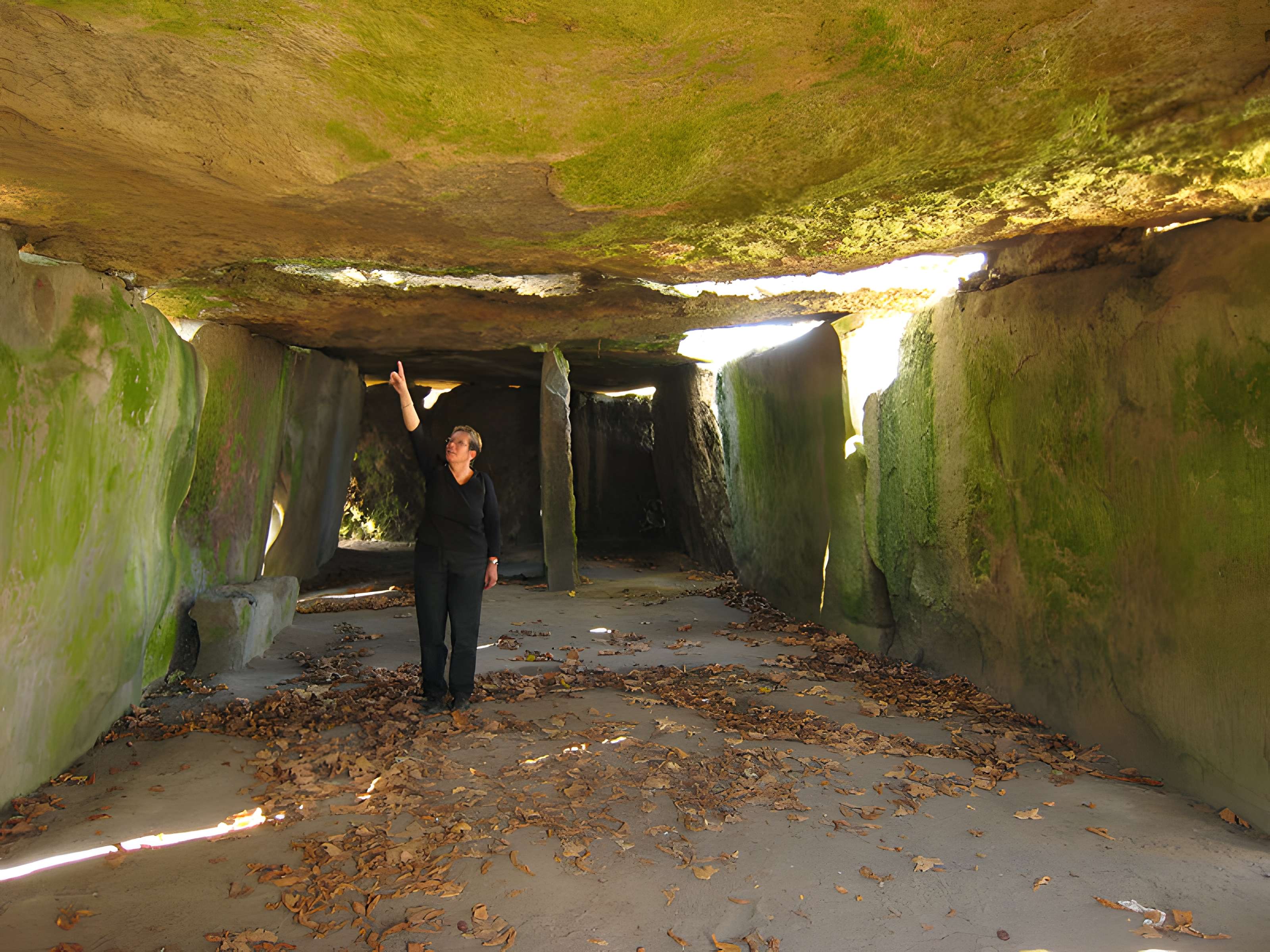 Allée couverte dite la Grande Pierre couverte