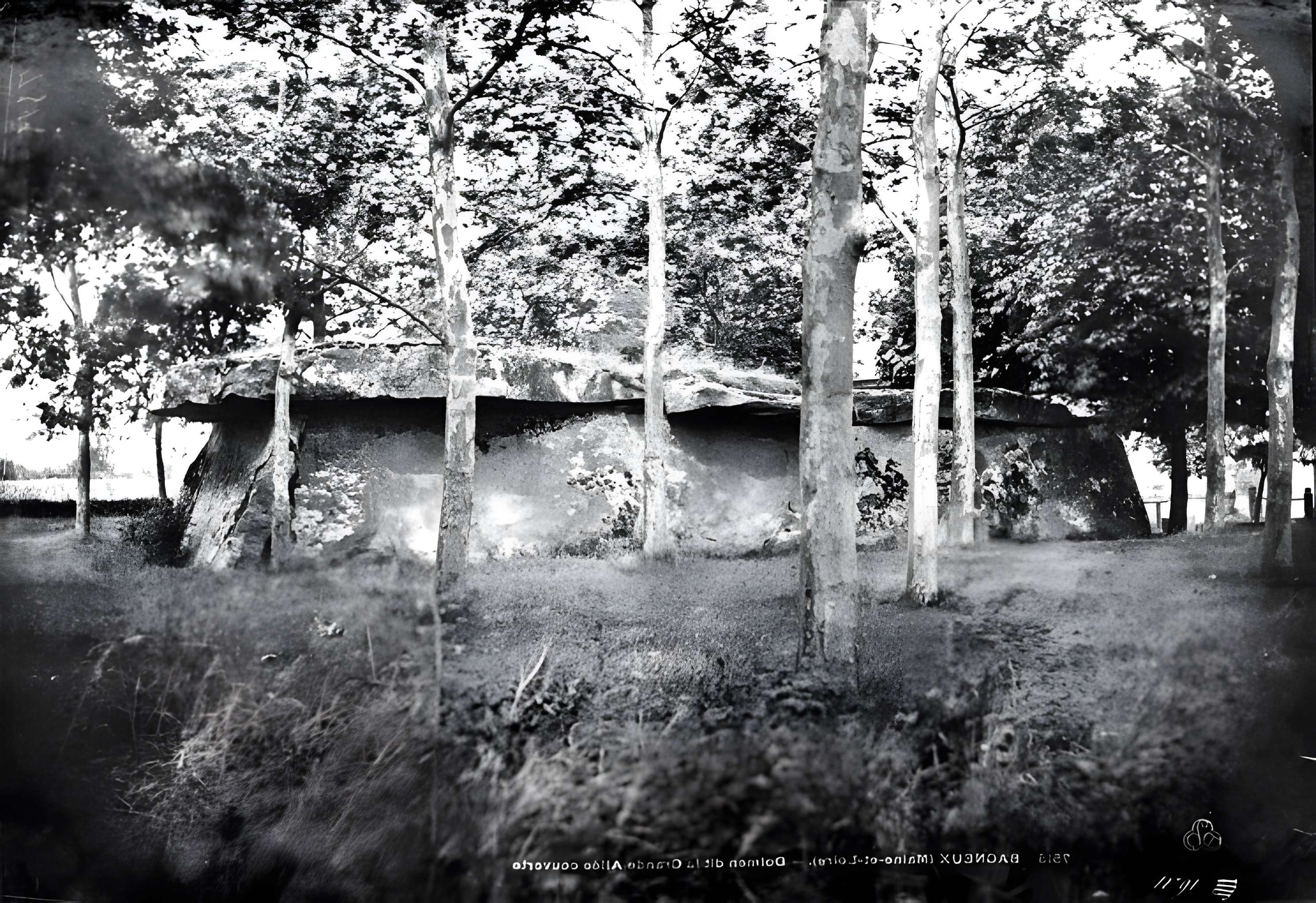 Allée couverte dite la Grande Pierre couverte