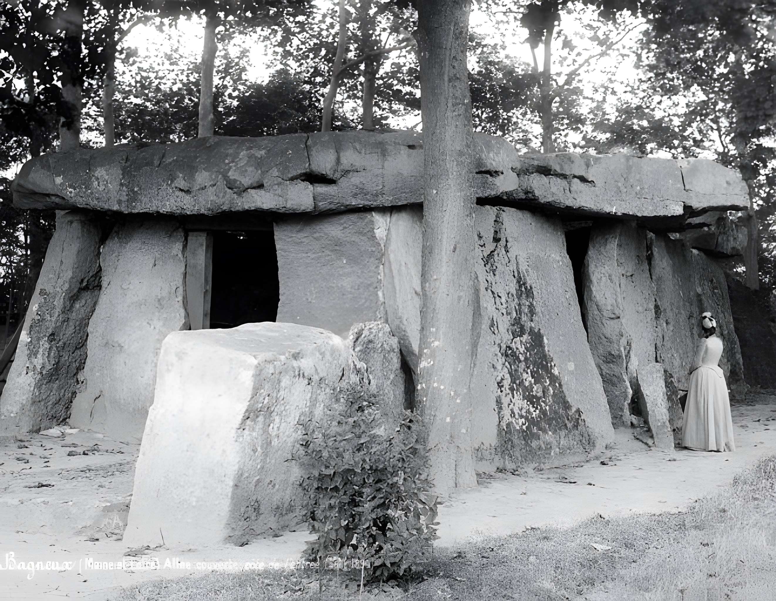 Allée couverte dite la Grande Pierre couverte