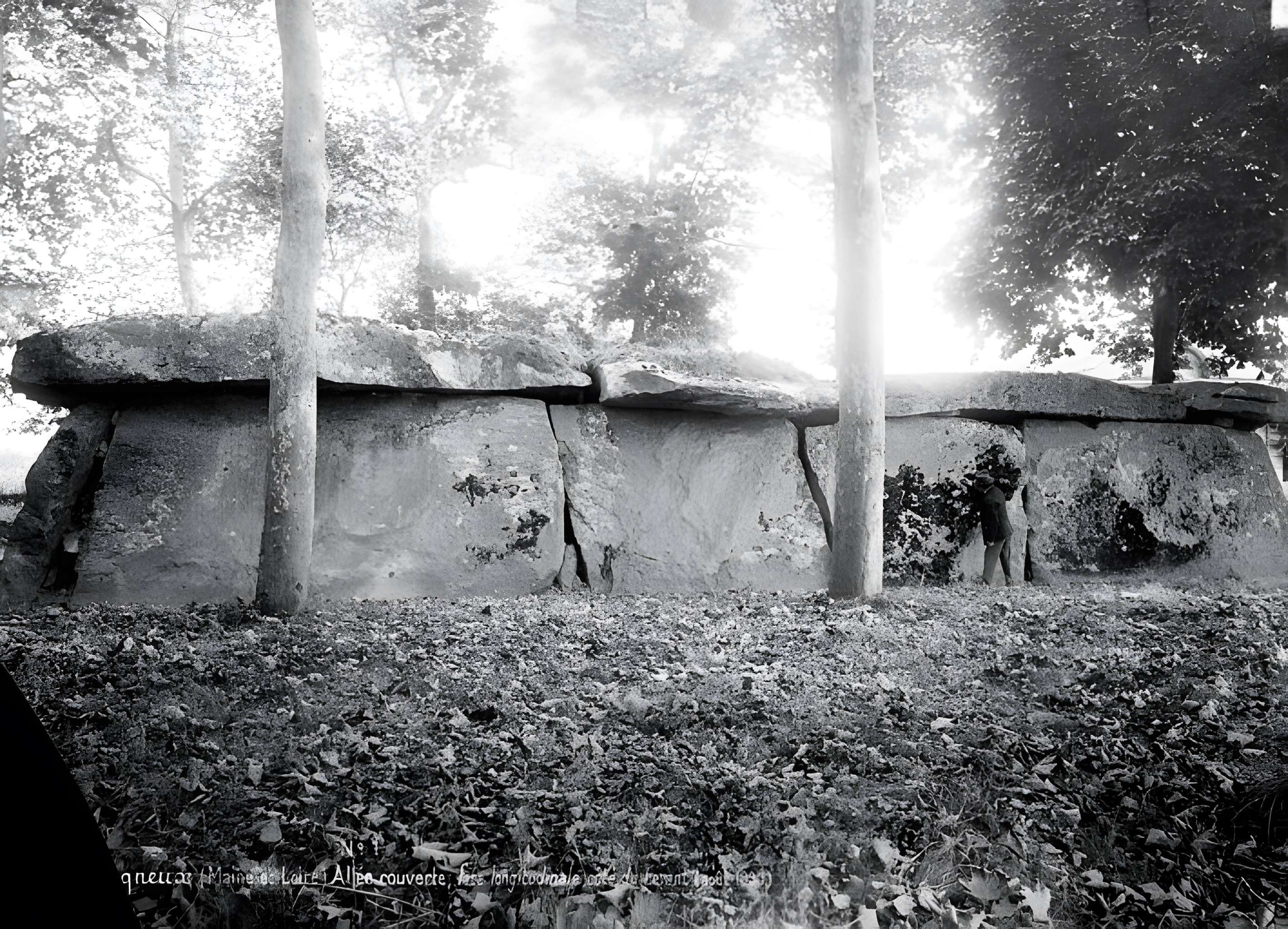 Allée couverte dite la Grande Pierre couverte