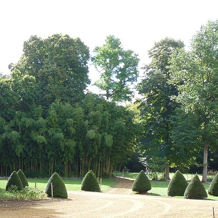 Photo de Château de Brignac