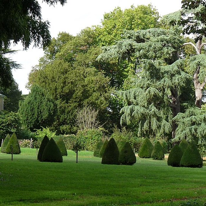 Photo de Château de Brignac