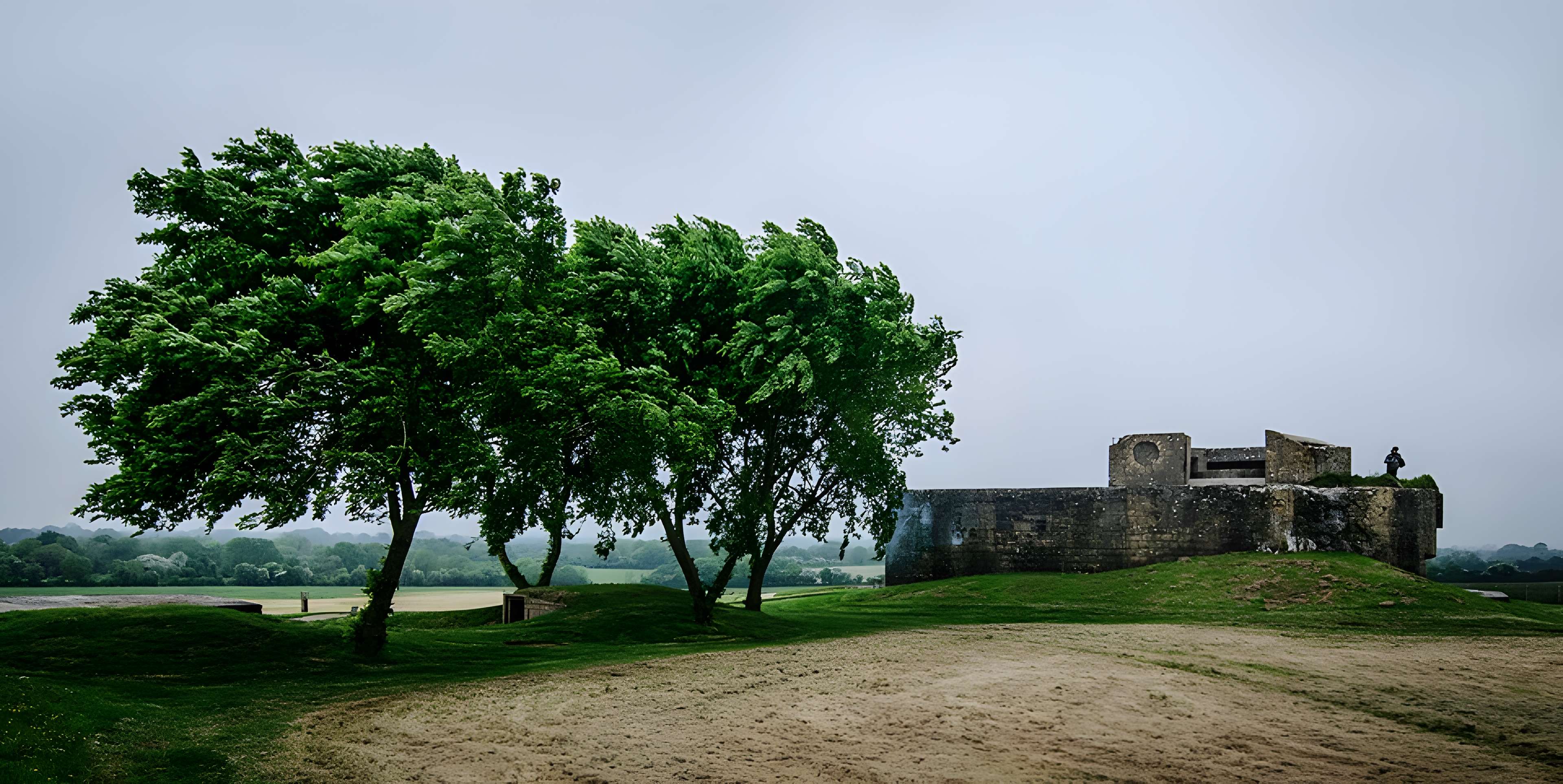 Batterie d’artillerie côtière