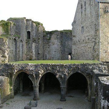 Restes du château