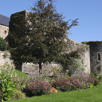 Restes du château