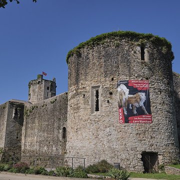 Restes du château
