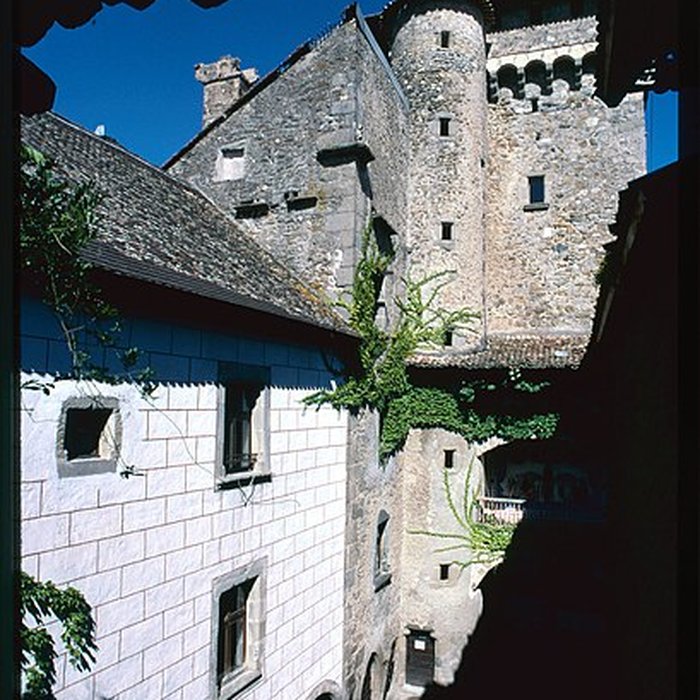 Photo de Château dAvully